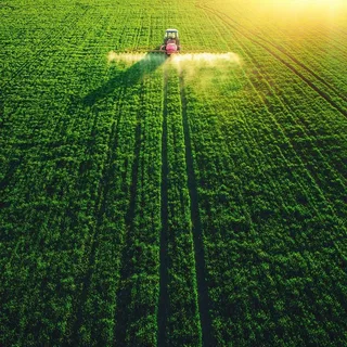تصاميم